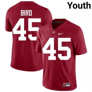 Crimson #45 David Bird Youth Embroidery Jersey | Alabama Crimson Tide Elite Thread University Football Edition 18291501